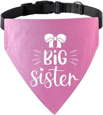 Honden bandana Big Sister roze met makkelijke sluiting, Ophalen of Verzenden, Nieuw, Halsband