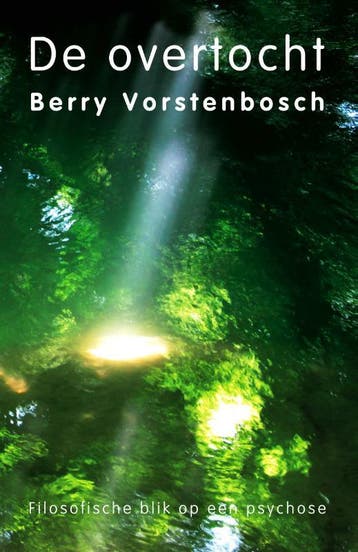 De overtocht - Berry Vorstenbosch 9789493219007, Verzenden, Gelezen, Berry Vorstenbosch