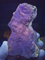 Zeldzame Mallorcaanse satijnspaat Fluorescerende - Hoogte: