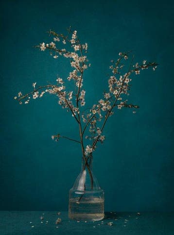Tessa Posthuma de Boer - For Vincent, Antiek en Kunst