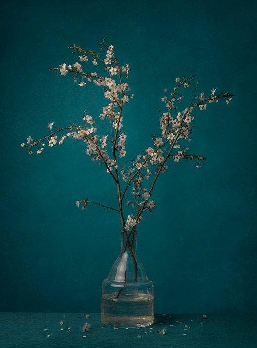 Tessa Posthuma de Boer - For Vincent, Antiek en Kunst, Kunst | Designobjecten