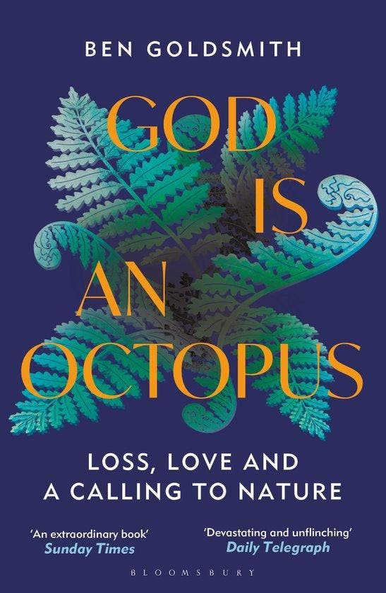 God Is An Octopus 9781399408363 Ben Goldsmith, Boeken, Taal | Engels, Gelezen, Verzenden