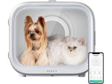 PETKIT Airsalon Max - Professionele Waterblazer - Slimme App, Verzenden, Nieuw