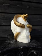 Beeld, Skull with Golden Serpent Snake - 23 cm - Hars - 2026