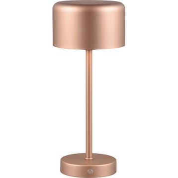 LED Tafellamp met Oplaadbare Batterijen - Trion Elf - 1.5W -, Huis en Inrichting, Ophalen of Verzenden, Nieuw, Metaal, Overige fittingen