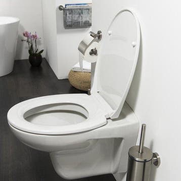 Tiger Pasadena - WC bril - Toiletbril met deksel- Softclose, Verzenden, Nieuw