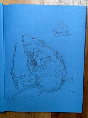 Megalodon + dédicace - C - 1 Album - Eerste druk - 2023, Boeken, Nieuw