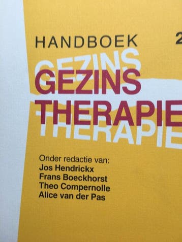 HANDBOEK GEZINSTHERAPIE DL 2 9789031310944 HENDRICKX, Verzenden, Zo goed als nieuw, HENDRICKX