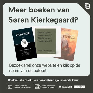 De ziekte tot de dood / Kierkegaard Werken / 6 9789463401265, Boeken, Verzenden, Gelezen, Søren Kierkegaard