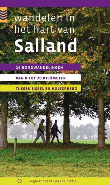 9789078641315 Wandelen in het hart van Salland, Boeken, Verzenden, Zo goed als nieuw, Maarten Metz