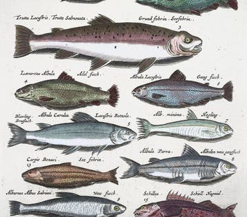 Matthäus Merian (1593-1650) - hand coloured engraving: