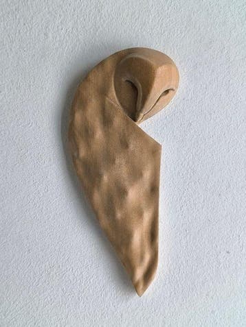 Federico Alibrio - Silent Vigil - Barn Owl