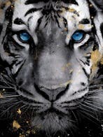 Yamila - Mirada Áurea: El Tigre en Oro y Cobalto, Nieuw