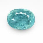 Paraiba toermalijn - 15.46 ct - International Gemological, Nieuw
