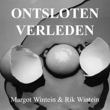 Ontsloten Verleden | Margot Wintein | Nieuw, Boeken, Ophalen of Verzenden, Nieuw, Margot Wintein