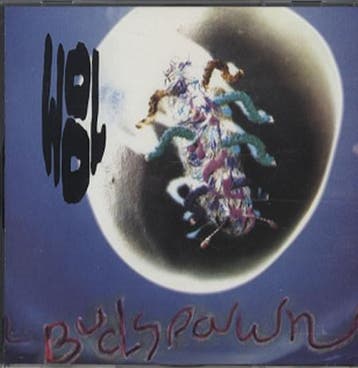 cd - Wool - Budspawn, Verzenden, Zo goed als nieuw
