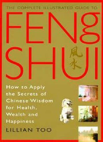 Feng Shui - Lillian Too 9781852309022, Boeken, Verzenden, Gelezen, Lillian Too