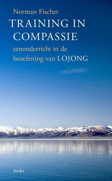 Training in compassie | 9789056704421 | Zoketsu Norman, Boeken, Ophalen of Verzenden, Zo goed als nieuw, Zoketsu Norman Fischer