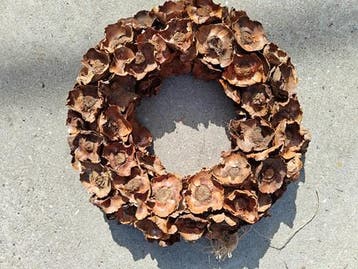 Coco flower Naturel ca. 250 gram, Ophalen of Verzenden, Nieuw