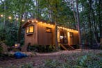 Vakantie midden in het bos in een pipowagen nabij Maastricht, In bos, Limburg of Luik, Huisdier toegestaan, 2 slaapkamers