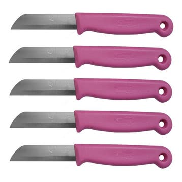 Solingen Schilmesje – RVS Glad – 16 cm met Blade Cover, Ophalen of Verzenden, Nieuw, Rvs of Chroom