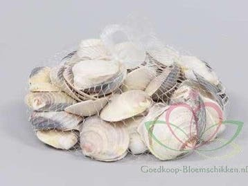 Dosinia Discus schelpen ca. 350 gram, Ophalen of Verzenden, Nieuw