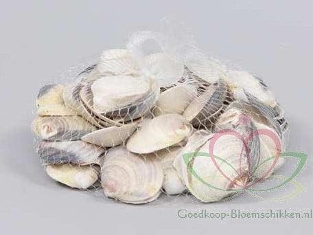 Dosinia Discus schelpen ca. 350 gram, Hobby en Vrije tijd, Knutselen, Nieuw, Ophalen of Verzenden