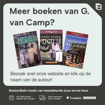 De zaak Flavia / Davidsfonds/Literair - G. van Camp, Boeken, Verzenden, Zo goed als nieuw, G. van Camp