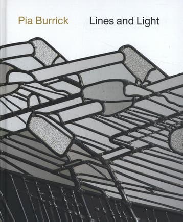 Pia Burrick - Johan Debruyne 9789058566133, Boeken, Hobby en Vrije tijd, Verzenden, Zo goed als nieuw, Johan Debruyne
