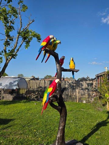 Beeld, XXL Bronze Parrot Tree - 202.5 cm - Brons - 2026