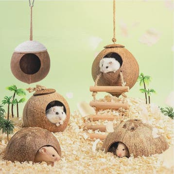 Natuurlijk Kokosnoot Hamsterhuis - Veilige & Bite-resistant, Verzenden, Nieuw