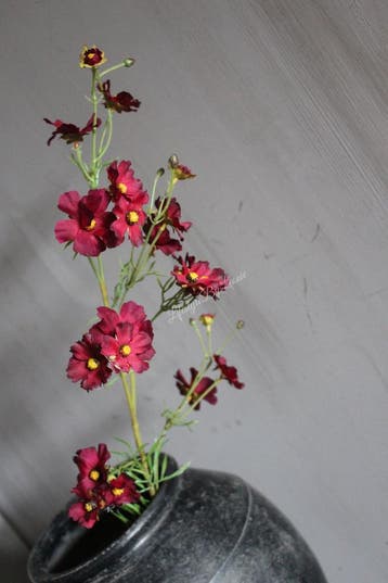 Zijden lange tak Helenium Spray Burgundy 85 cm, Ophalen of Verzenden, Nieuw