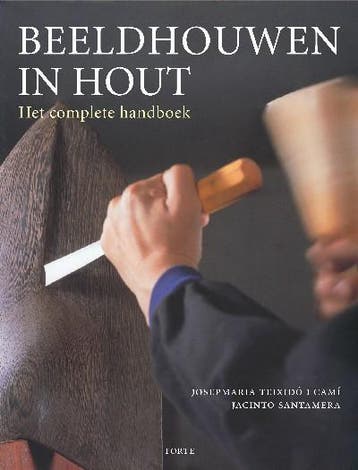 Beeldhouwen in hout - J. Teixido Cami 9789058777713, Boeken, Hobby en Vrije tijd, Verzenden, Gelezen, J. Teixido Cami
