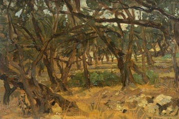Sandro Vacchetti (1889–1976) - Ulivi a Bordighera, Antiek en Kunst
