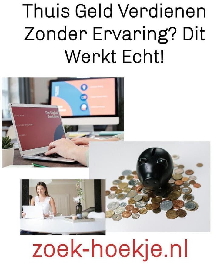 online geld verdienen, Vacatures, Vacatures | Thuiswerk, Overige niveaus, Starter, Variabele uren, Overige vormen, Geschikt als bijbaan