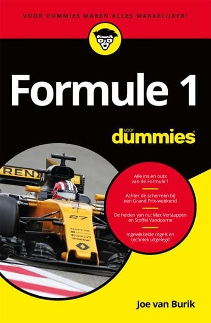 Formule 1 voor dummies | 9789045353807 | Joe van Burik, Boeken, Hobby en Vrije tijd, Zo goed als nieuw