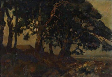 Willem Hendrik van der Nat (1864–1929) - Bomenlandschap
