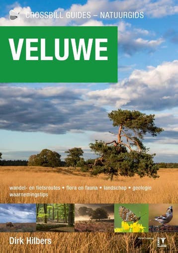 Veluwe | Dirk Hilbers | Nieuw, Ophalen of Verzenden, Nieuw, Dirk Hilbers