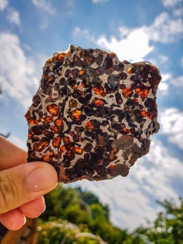 Pallasiet XL Sericho pallasite - Hoogte: 11.5 cm - Breedte: