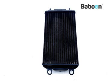 Radiateur Harley-Davidson XG 750 A Street Rod 2020, Verzenden, Gebruikt