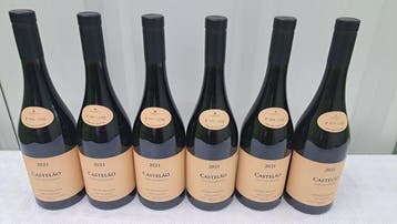 2021 António Maçanita, Castelão Chão dos Eremitas - Alentejo, Nieuw