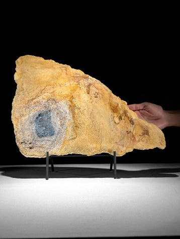 C - Prachtige plak versteend hout op een op maat gemaakte