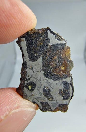 Pallasiet-meteoriet, NWA 16774. Geen reserveprijs. - 4.05 g