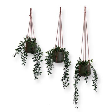 Voordeelset van 3 Plantenhangers Zonder Kwast - Oud Roze -, Ophalen of Verzenden, Nieuw