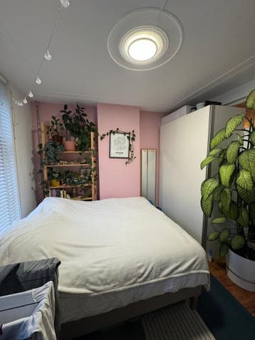 Te huur: Kamer Kortekade in Rotterdam