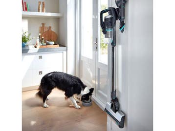 Bissell Icon Pet 2602D - Kruimelzuiger - 25V - Draadloos, Witgoed en Apparatuur, Stofzuigers, Verzenden, Nieuw