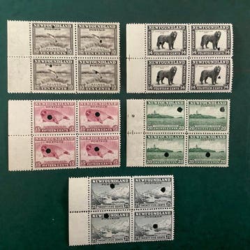Newfoundland 1932 - Proeven ; vijf blokken van vier - Die, Postzegels en Munten, Gestempeld
