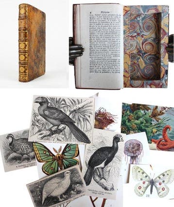 [Boîte à Secrets] Buffon - Histoire Naturelle - Secret Book