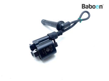 Bobine Ducati Monster 821 2014-2016 Right, Verzenden, Gebruikt