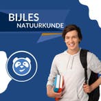 Bijles Wiskunde, Natuurkunde, Scheikunde en Biologie Leiden, Privéles, Examen- of Scriptiebegeleiding